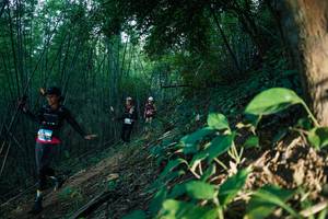 BIB: 
                            <button type="button" onclick="openModal(28124385)" class="btn btn-primary btn-sm float-right btn-popup" data-toggle="modal" data-target=".modal-high-quality">
                        <i class="fas fa-shopping-cart"></i> Add to Cart
                    </button>
                                            <button type="button" onclick="isThisMe(28124385, true)" class="btn btn-success btn-sm float-right btn-popup btn-isme hidden" data-toggle="tooltip" data-placement="bottom" title="นี่คือรูปของคุณใช่ไหม คลิกที่นี่เพื่อเอาเข้าอัลบั้ม">
                        <i class="fas fa-plus"></i> Add to album
                    </button>
                    <button type="button" onclick="isThisMe(28124385, false)" class="btn btn-warning btn-sm float-right btn-popup btn-isnotme hidden">
                        <i class="fas fa-ban"></i> Remove from album
                    </button>